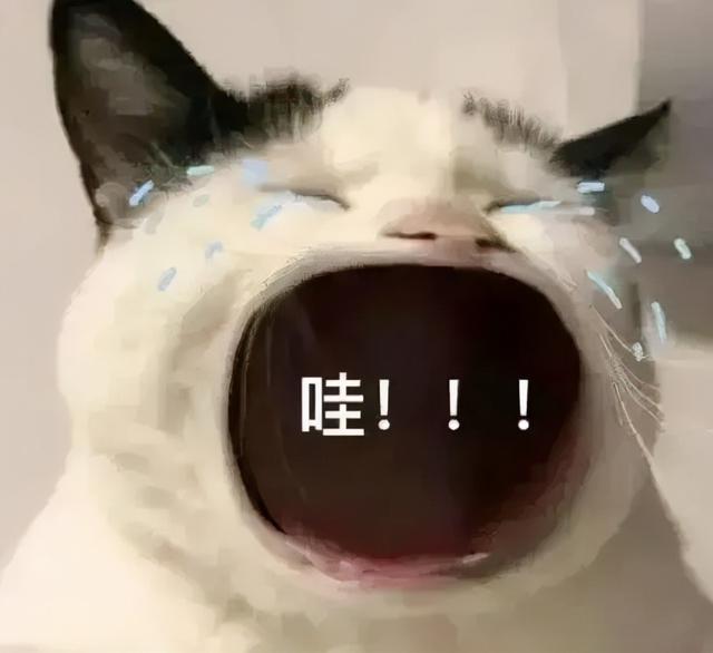 女孩生完孩子离家出走(生完孩子离家出走下场)(图8)