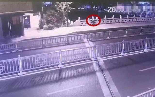 熊孩子离家出走游戏(熊孩子离家出走)(图2)