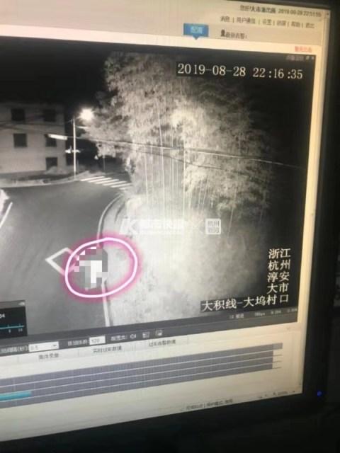 熊孩子不睡觉离家出走(国外两个熊孩子半夜不睡觉)(图1)