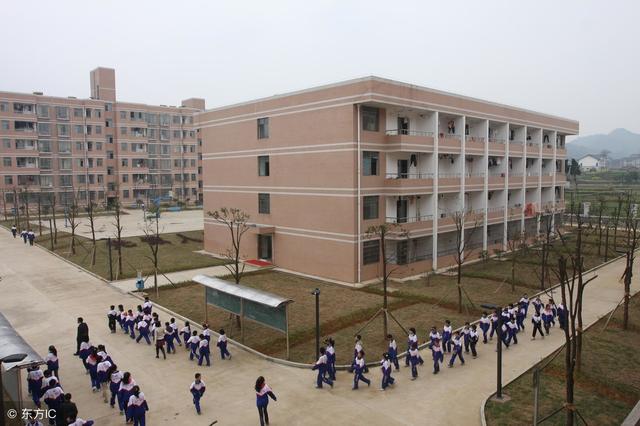 被学校开除后怎么办(高中被学校开除了怎么办)(图3)