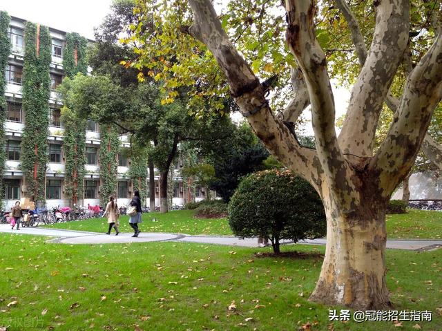 高二退学能干嘛(退学了能干嘛)(图1)