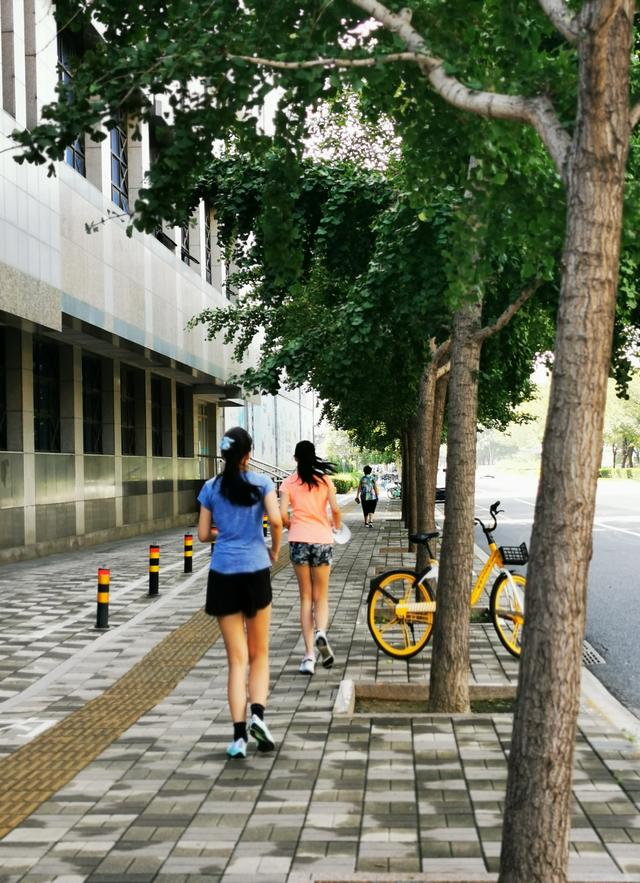小孩子不听话怎么管教(小孩子不听话怎么办)(图4)