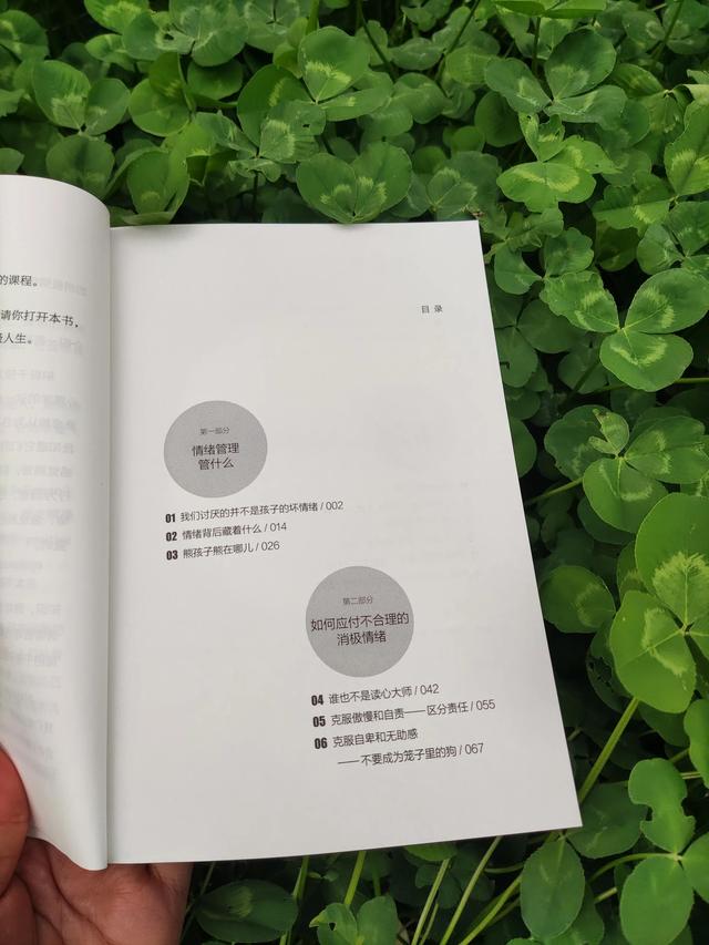 小孩乱发脾气怎么教育(小孩乱发脾气乱扔东西怎么办)(图1)