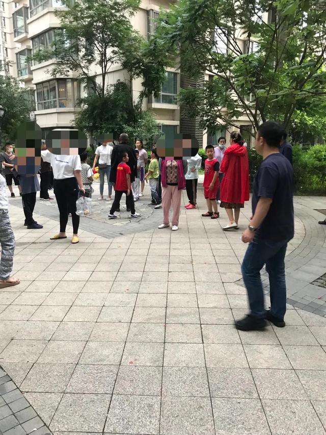 学生打闹怎么跟家长说(孩子打闹怎么和家长说)(图2)