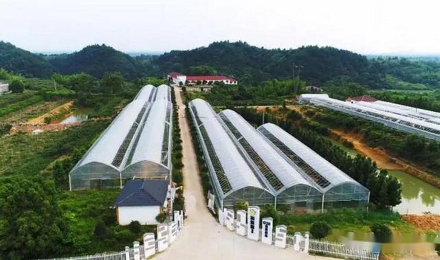 脾气暴躁经常打孩子(脾气暴躁爱打孩子)(图2)
