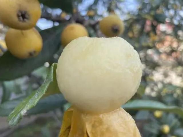 脾气暴躁经常打孩子(脾气暴躁爱打孩子)(图10)