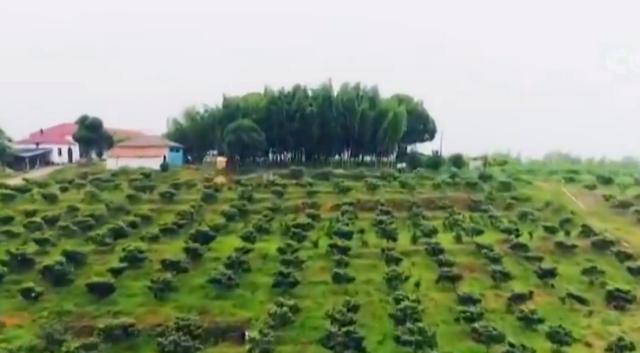 脾气暴躁经常打孩子(脾气暴躁爱打孩子)(图9)