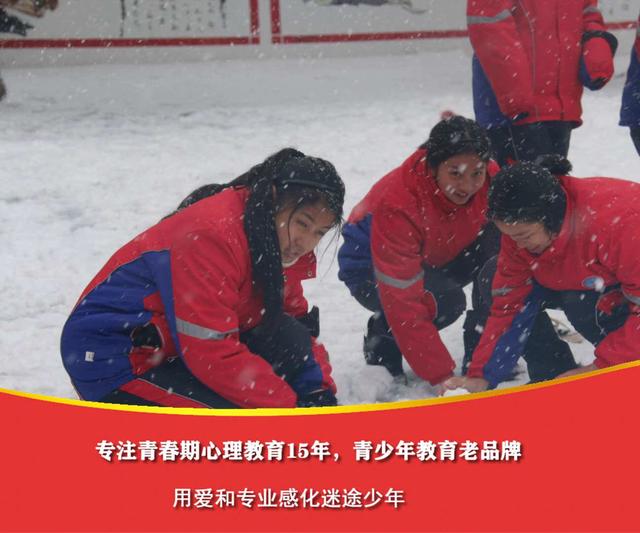 孩子不听话专业机构(孩子很犟不听话怎么办)(图3)