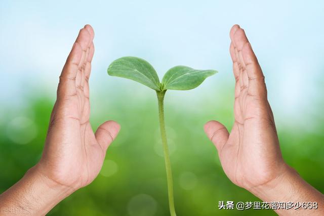 叛逆期离家出走怎么办(叛逆期女孩子离家出走怎么办)(图2)