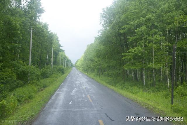 叛逆期离家出走怎么办(叛逆期女孩子离家出走怎么办)(图1)