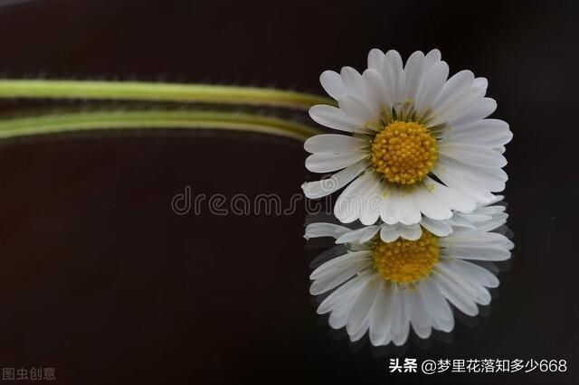 叛逆期离家出走怎么办(叛逆期女孩子离家出走怎么办)(图4)